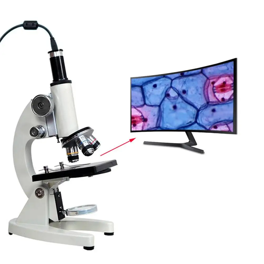 Как выбрать микроскоп для школьника. Микроскоп 1200 крат. Цифровые микроскопы для школьников. Микроскоп "школьник" мод. Как выбрать микроскоп для школьника.