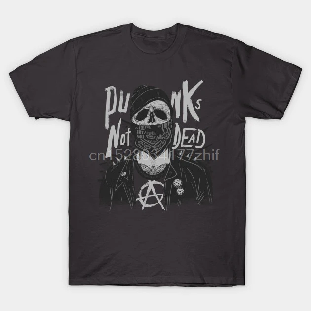Мужская футболка Punks Not Dead женская | одежда