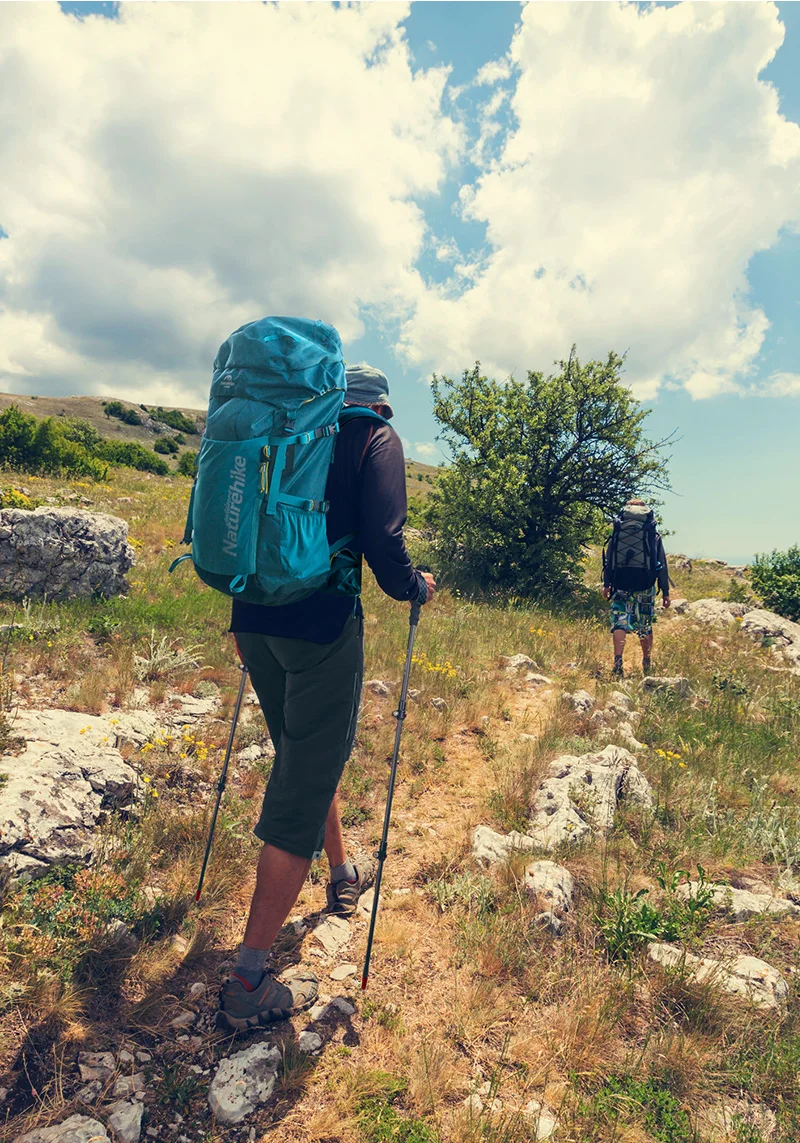 2 шт./упак. Naturehike Nordic трости Пеший Туризм трекинговые палки Сверхлегкий дороги углерода телескопическая трость восхождение Пеший Туризм аксессуары