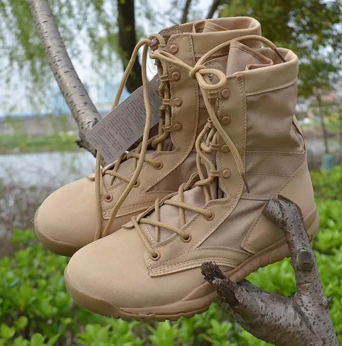 36020180315170134541