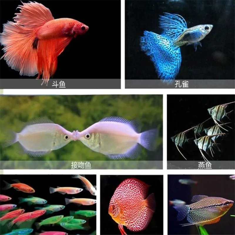 搜狗截图19年10月01日1554_2