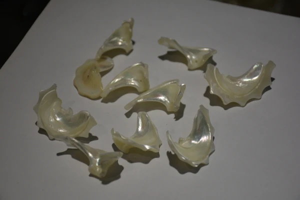 Перламутровые Бусины натуральные белые морские ракушки бусины кошачьи уши |