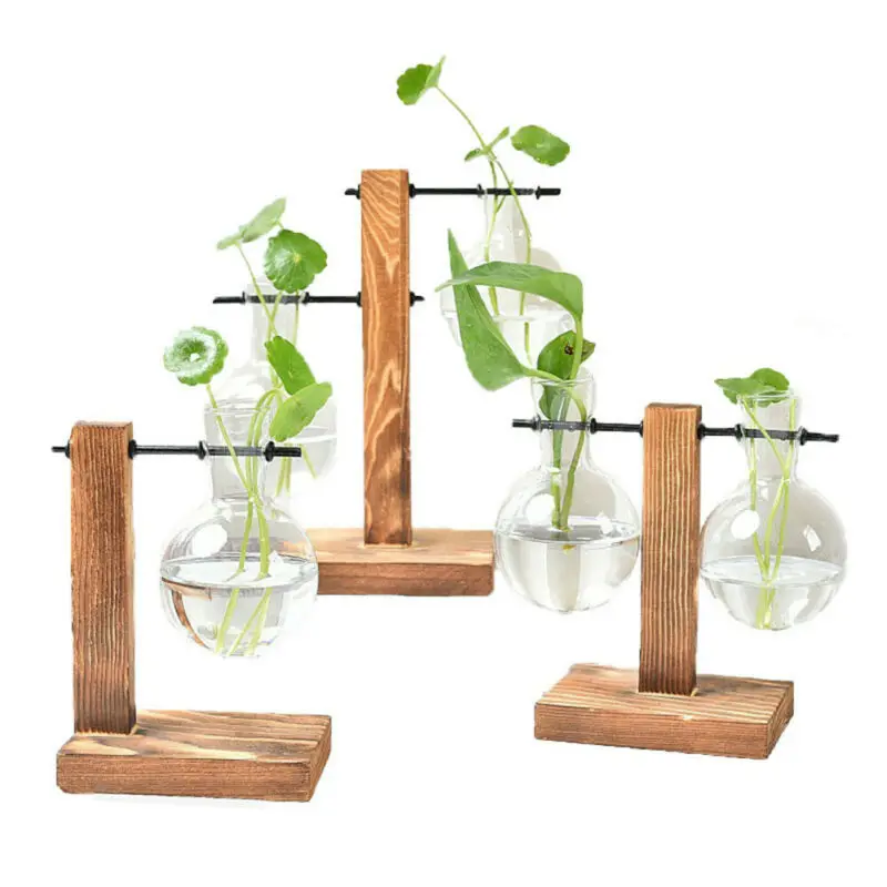 Гидропонная фотография Terrarium винтажный цветочный горшок прозрачная ваза