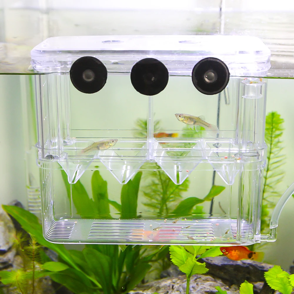 Большой размер для разведения рыб в аквариуме коробка плавающая детская рыба креветка инкубатория изолирующая кормушка коробка для аквариума обратный клапан 1 м воздушная линия