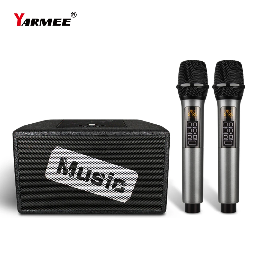 YARMEE Professional Indoor Outdoor Karaoke Home