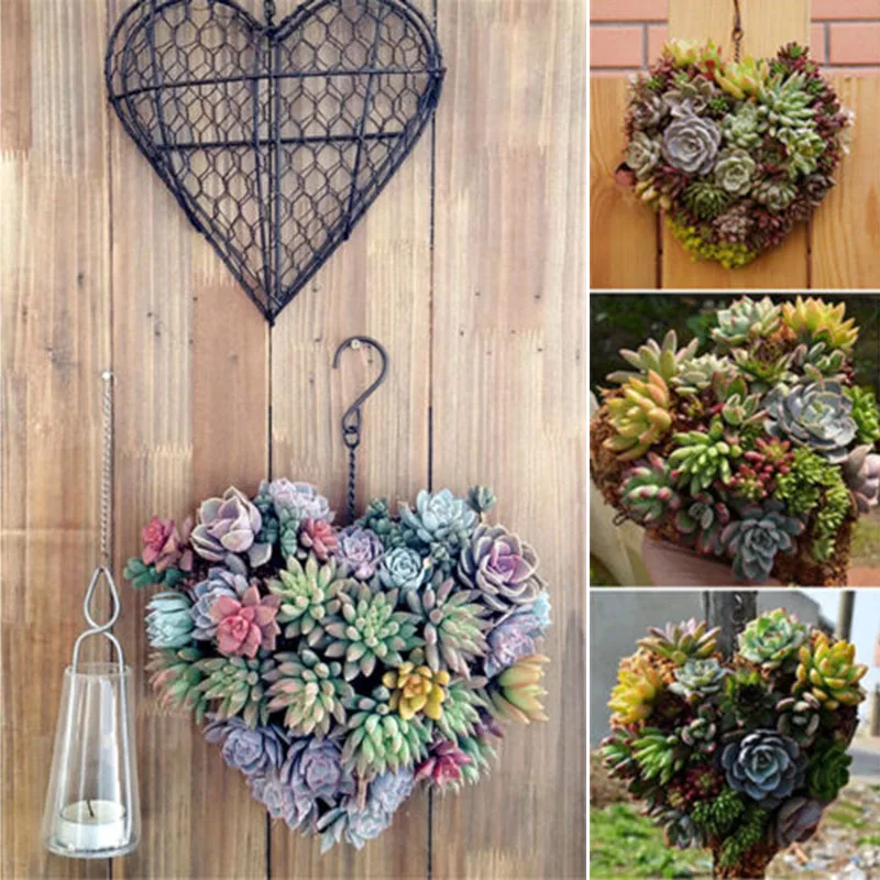 

Hanging Plant Basket Wooden Orchid Pot Flower Plant Hanger Wire Garden Ornament