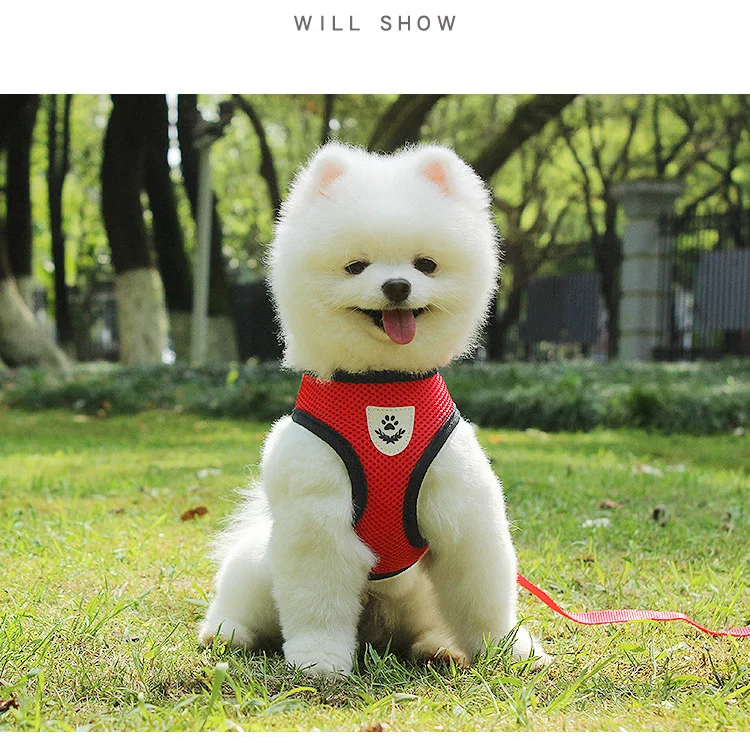 14423006618_609020808