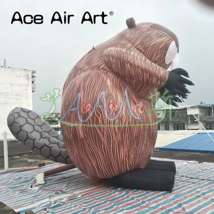 4 m tall Giant and Laborious Canadian People's mascot Inflatable Beaver for Advertising in Canada