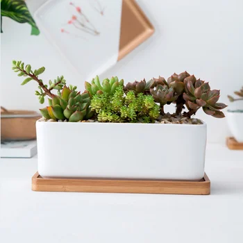 

1 Set Ceramic Oblong Flower Pot with Bamboo Tray Succulent Planter Garden Bonsai Pot Flowerpot White (1Pc Flower Pot 1Pc Bamboo