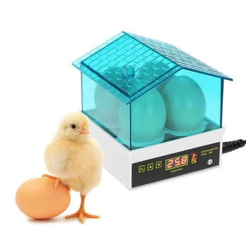 

4 Egg Incubator Fully Automatic Hatchery Machine Mini Digital Temperature Eggs Brooder Feeder Capacity Hatch for Chicken Quail
