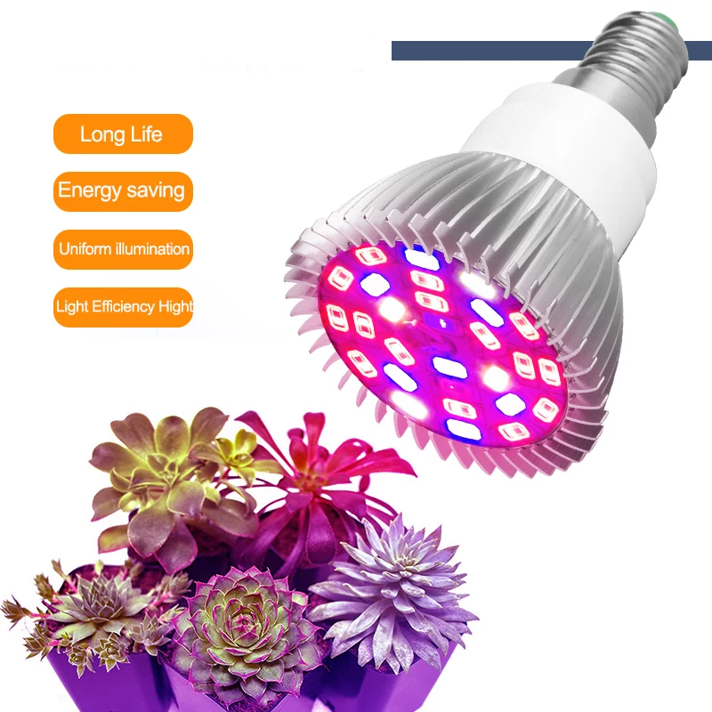 plant-grow-light4