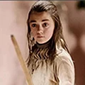 Winterfell Store