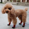 Pet Products