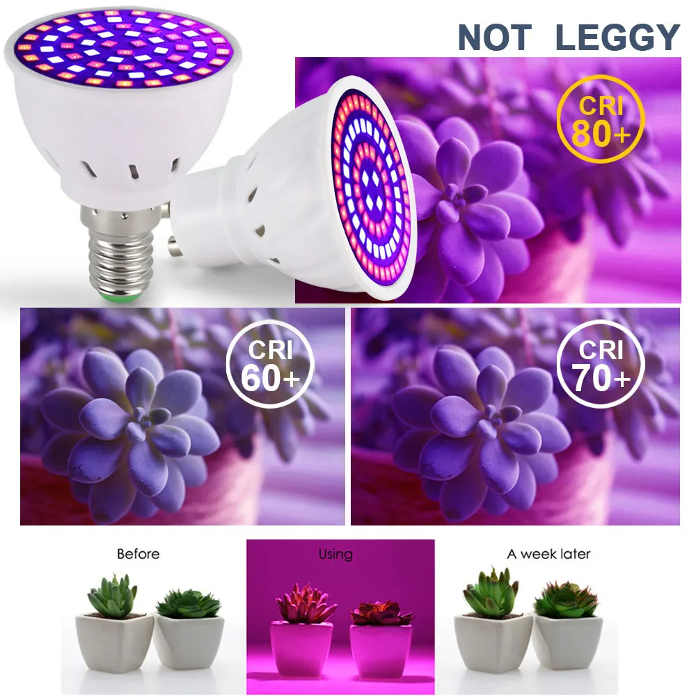 LED Grow Light Bulbs - Full Spectrum Indoor Plant Lighting for Greenhouse & Hydroponic Seeding (3 Pack)