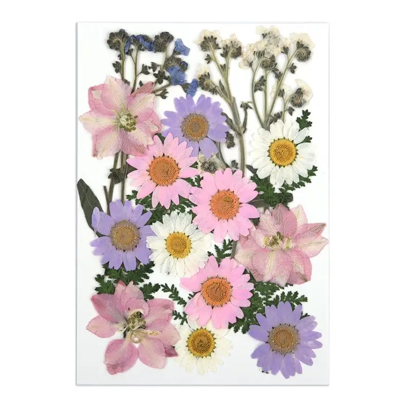 126 Fleurs Séchées Pressées Naturelles - Kit DIY Pour Résine, Scrapbooking, Bijoux, Décoration