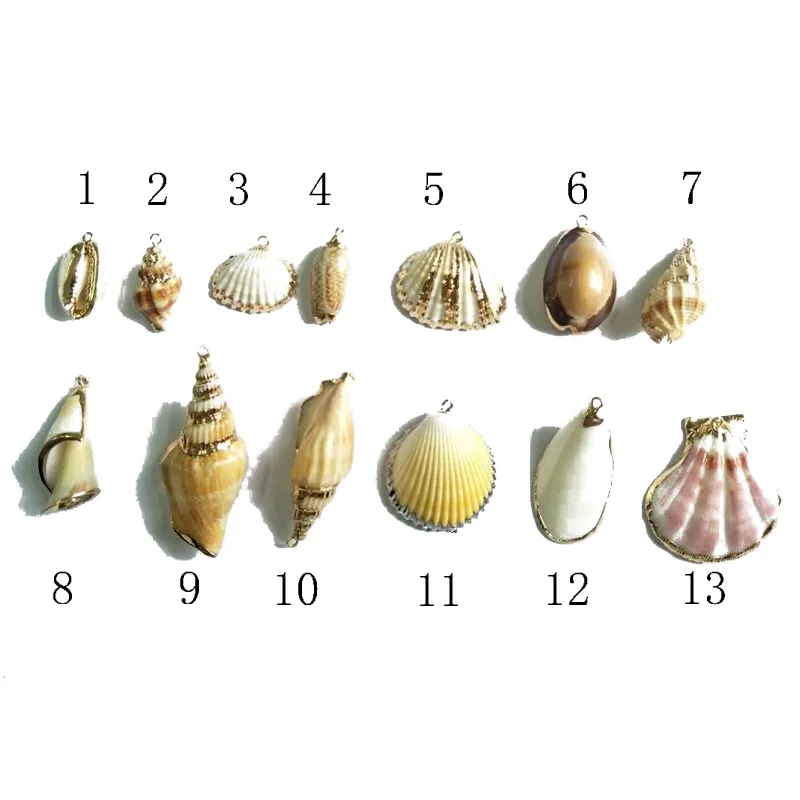 10919098868_1592779509