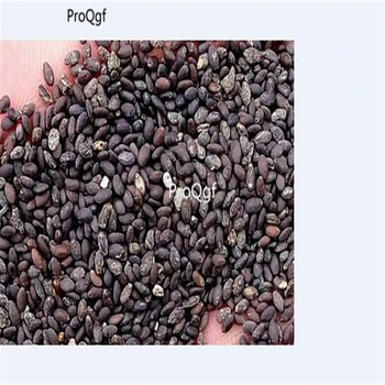 

Ngryise 3000Pcs A Set California White sage Salvia japonica