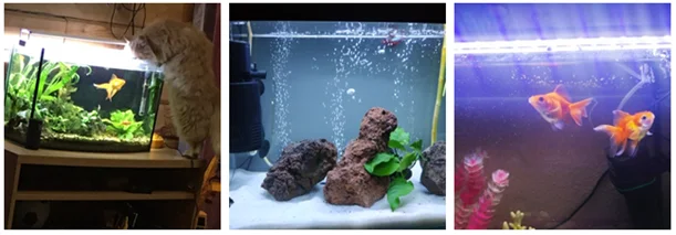 1584005160403_56E4E23E-8D4F-4c8e-9DF2-96313CF5E1F3