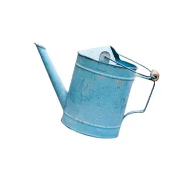 

Watering Pot Flowerpot Adornment Iron Flower Watering Pot Retro Desktop Adornment (Style A)
