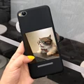 TGhei1112