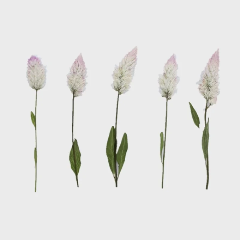 60pcs Pressed Dried Flower Celosia Argentea L For Epoxy Resin Jewelry Making Nail Art Craft Diy Bookmark Accessories Artificial Dried Flowers Aliexpress