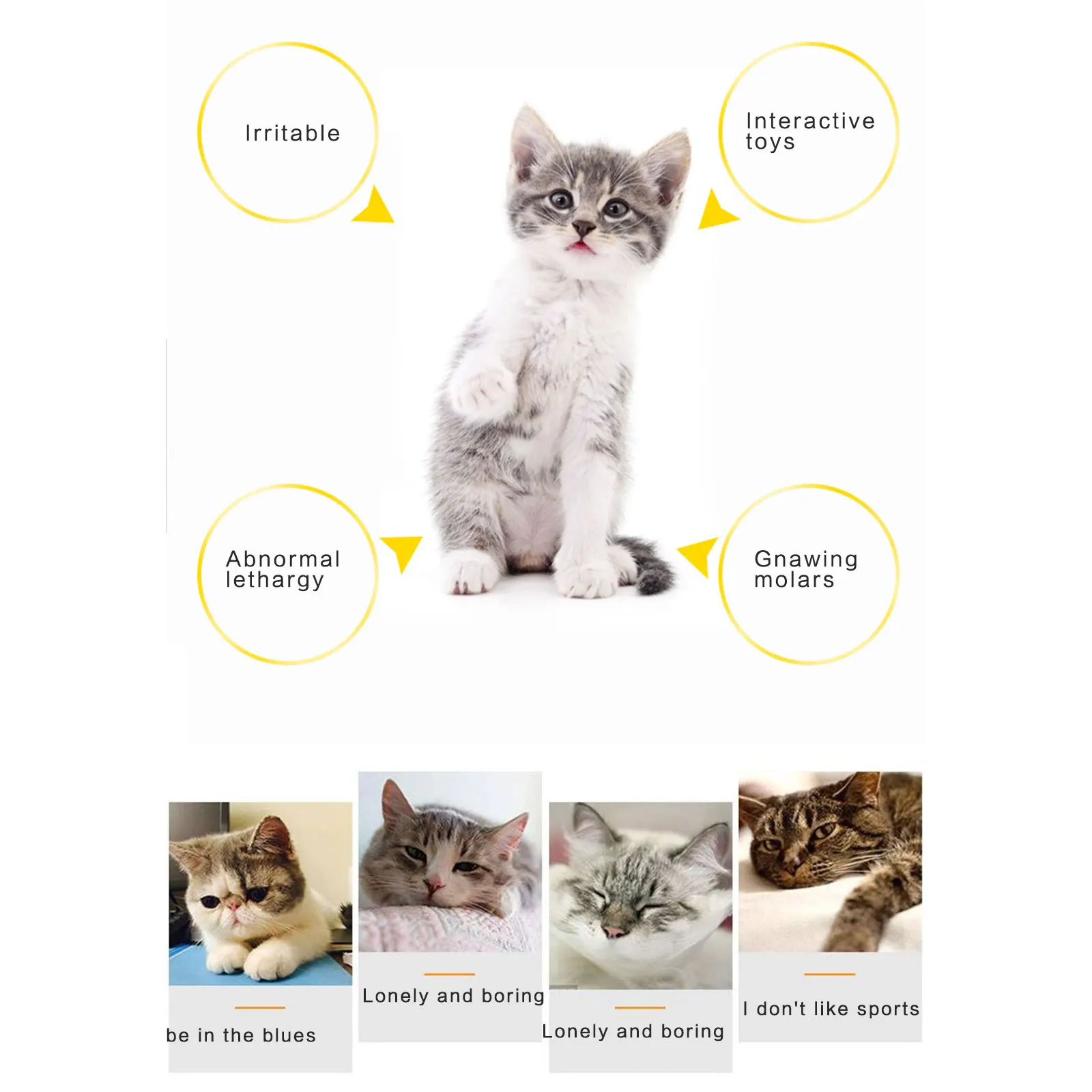 //ae01.alicdn.com/kf/H1da352bf5f654107adb7fe6ad3ba521bh.jpg?smt_ispass_20933294