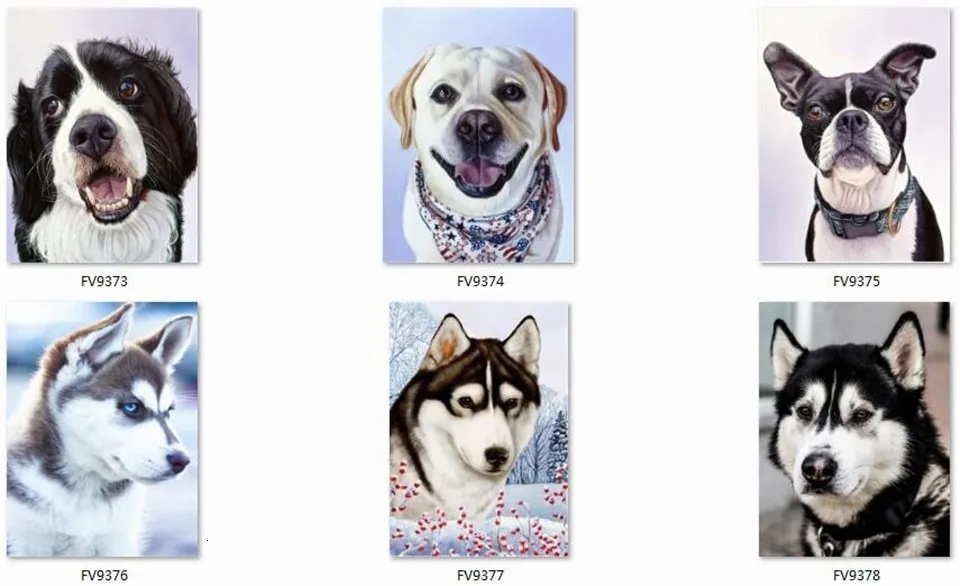 Haucan DIY изображение собаки из страз животное, бриллиант, вышивка продажи квадратные Стразы изображение 5d Алмазная мозаика челнока