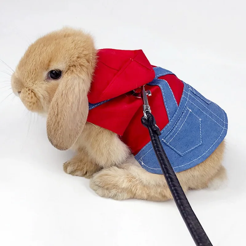 Rabbit Denim Jacket Harness and Leash 1