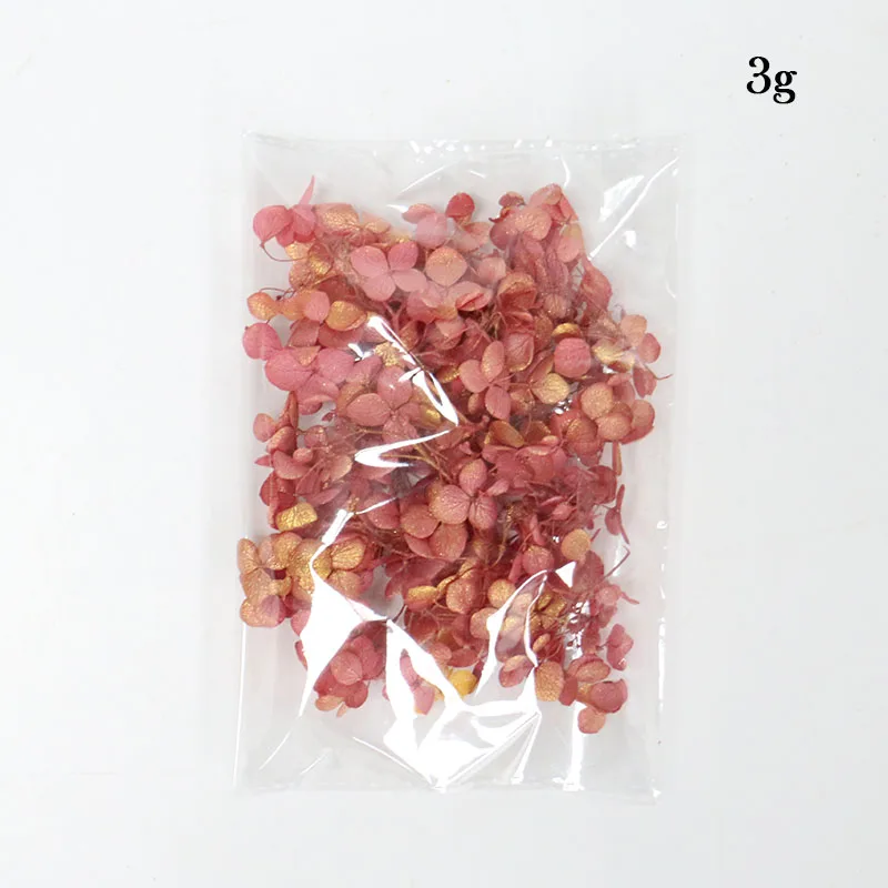 RUYI, 3 г/лот, высококачественные натуральные свежие консервированные цветы, сушеные цветы гортензии, головка для DIY, настоящие цветы вечной жизни, материал - Цвет: 06