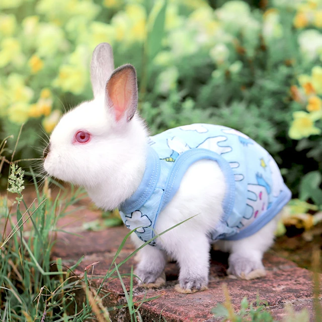 Raj Fancy Dresses Kids Rabbit Animal Costume & Fancy Dress school function  Theme Party