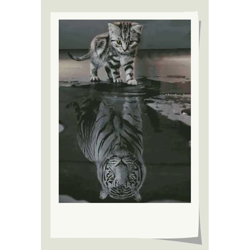Kit De Point De Croix Compte En Or Collection D Illusion De Chimere Reflexion De Fantaisie De Chat Chaton Tigre Aliexpress Kit De Point De Croix Compte En Or Collection D Illusion De Chimere Reflexion De Fantaisie De Chat Chaton Tigre Aliexpress