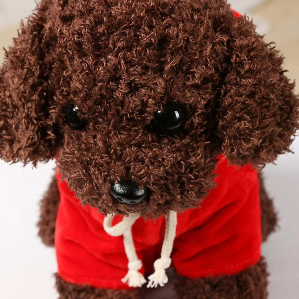 Teddy Dog Rag  (17)