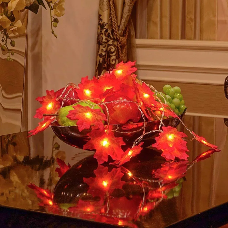 e5ee4a56-e3e5-459f-aa73-71321ceb8914