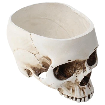 

Retro Human Skull Head Flower Pot Home Resin Plant Pot Planter Skull Shaped Succulent Cactus Flower Pot Container Home Office De