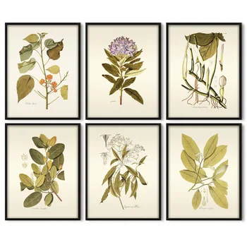 

Herbaceous Plant Wall Art Painting Vintage Flower Leaves Canvas Pictures For Home Office Bedroom Wall Decor Minimalist Posters