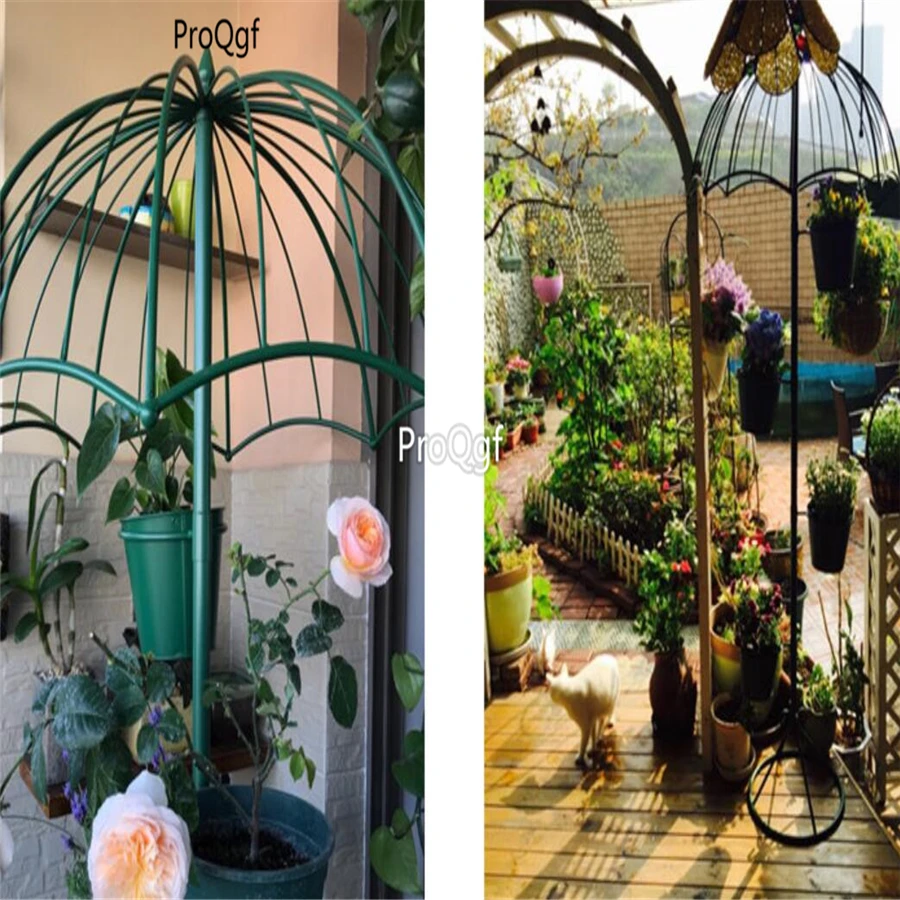 Ngryise 1cs A Set umbrella plant shelf random color