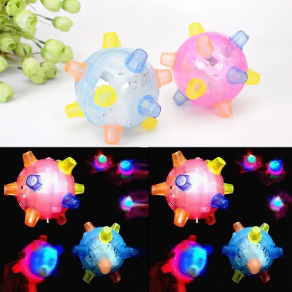 crazy bouncing ball for dogs