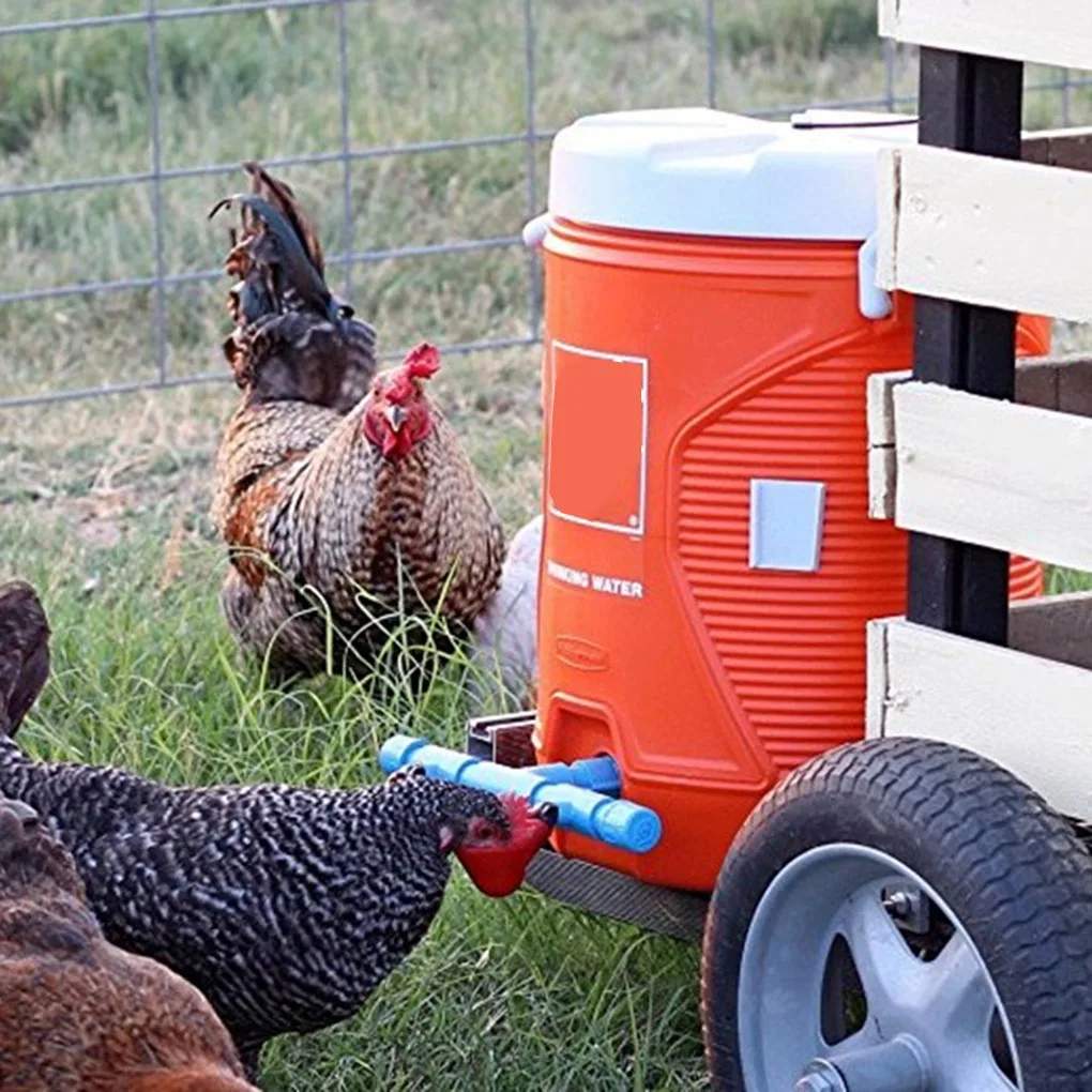 5pcs Poultry Water Drinking Cups Bowls Chicken Automatic Drinkers Birds Waterer Bird Water Dispenser