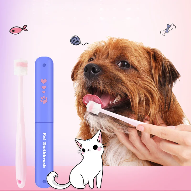 Are Cat Or Dog Mouths Cleaner