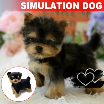 

Realistic Yorkie Dog Simulation Toy Dog Puppy Lifelike Stuffed Companion Toy Pet Dog Handcrafted