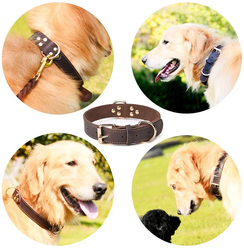 genuine leather collar for dogs