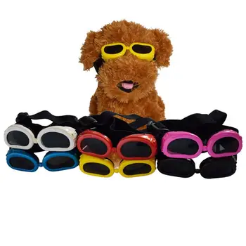

Pet Glasses Small Pet Special Glasses Dog Cat Cat Sunglasses Dog Cat Cat Sunglasses Professional Fashion Pet Accessory