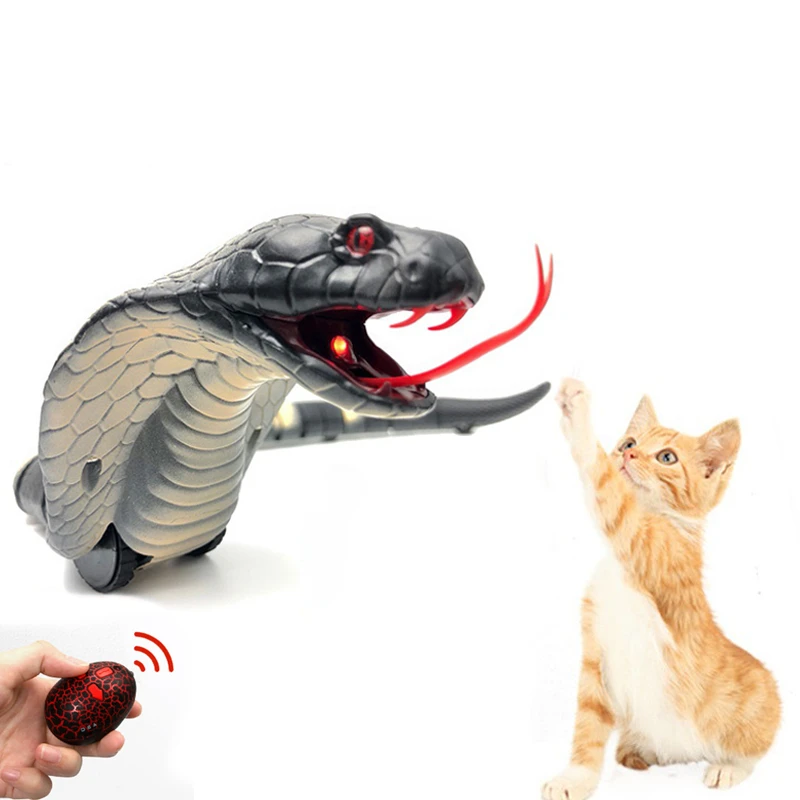 Rcロボットと動物のrcのおもちゃ 空の猫と卵のガラガラ レンガの壁 子供のための面白いおもちゃ ラジコン ロボット アニマル Aliexpress Rcロボットと動物のrcのおもちゃ 空の猫と卵のガラガラ レンガの壁 子供のための面白いおもちゃ ラジコン ロボット アニマル Aliexpress