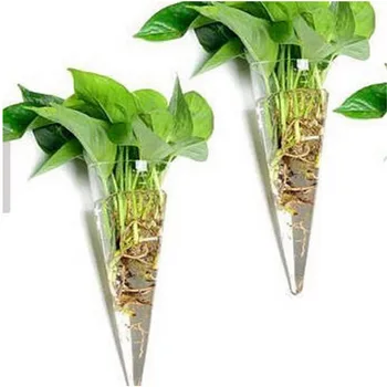 

Classic Transparent Glass Wall Mounted Hanging Vase Terrarium Bottle Air Planter Flowers Container Modern Home Office Decor