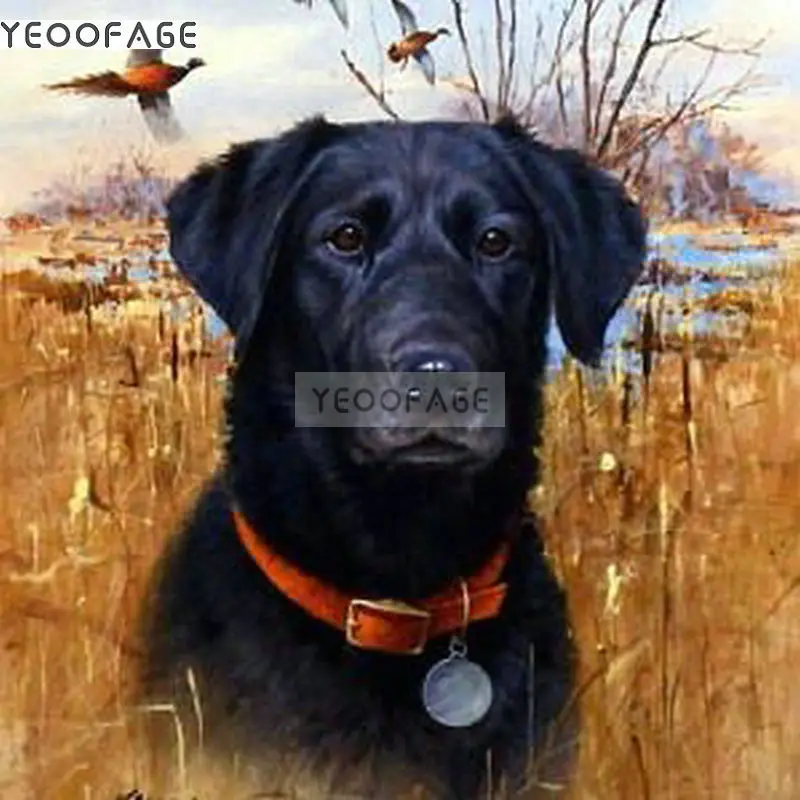 fd9199411d87d37cd9d392f5997688ce