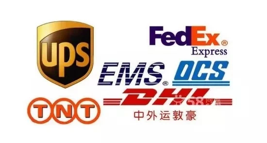 5.webp