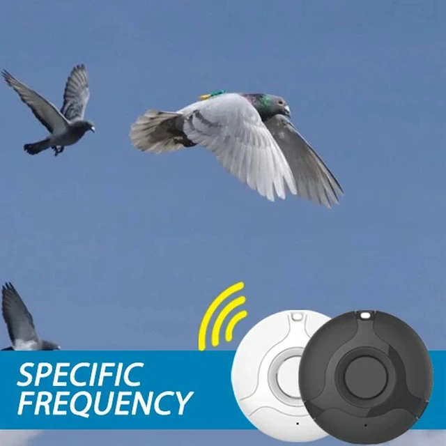 Usb Birds Repeller Hordozható Multifunkciós Szúnyograszpeller Tartsa Távol A Madarakat Az Autójától - Image 3