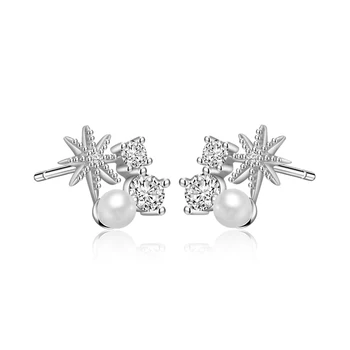 

Creative Silver Jewelly Star Zircon Pendant accessories 925 Sterling Silver Stud Earrings Lady Love No Allergies Free Shipping