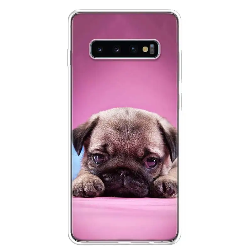 TW113-3 Изображением симпатичного мопса или крышка чехол для телефона для samsung Galaxy S10+ Note 10 9 8 S9 S8 J4 J6 J8 плюс S7 S6 корпус под плетенную сумку - Цвет: TW113-3