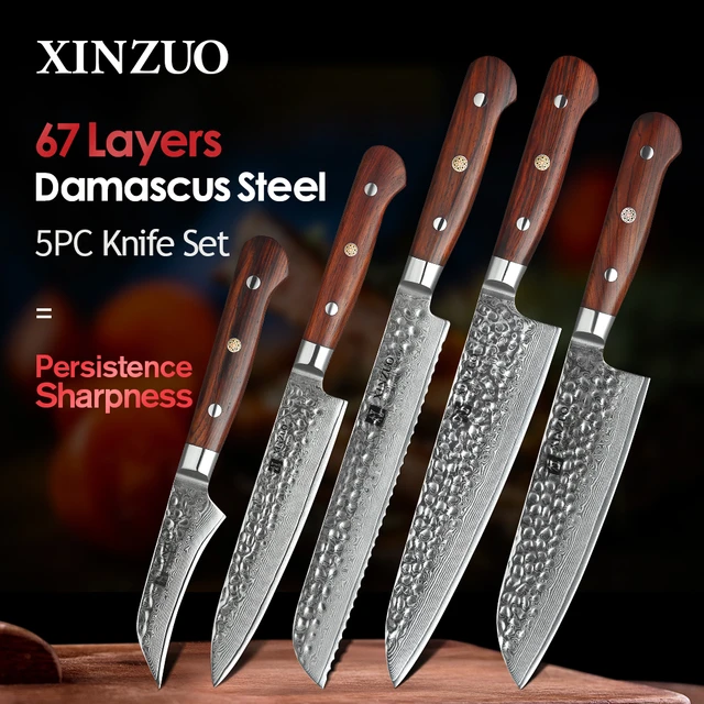 XINZUO 5PC Kitchen Knife Set Damascus Steel High  